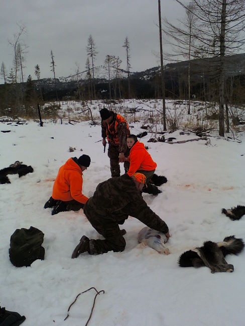 Moose Hunt 2011 015.jpg